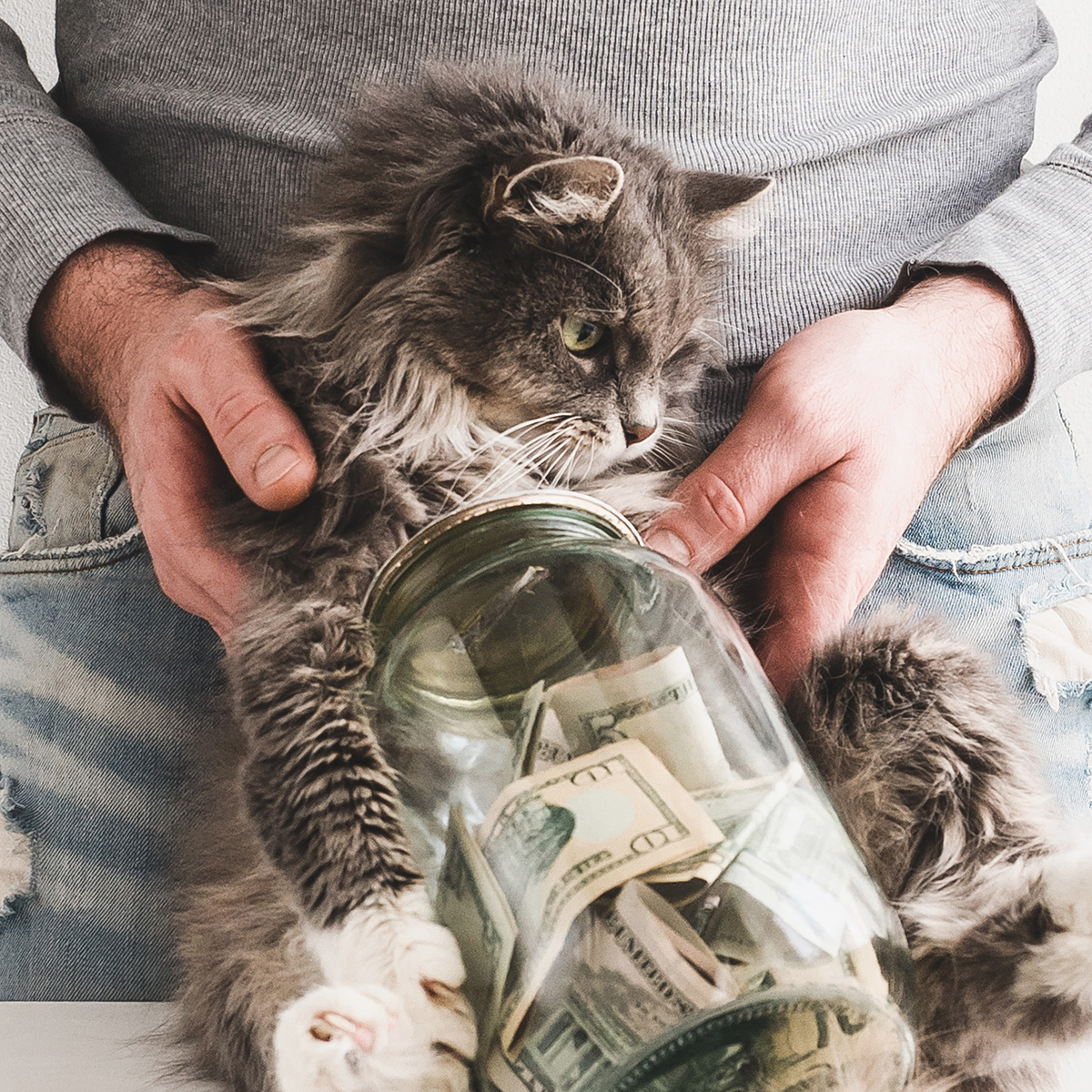 5 Ways to Save on Veterinary Bills – and 6 Ways NOT to